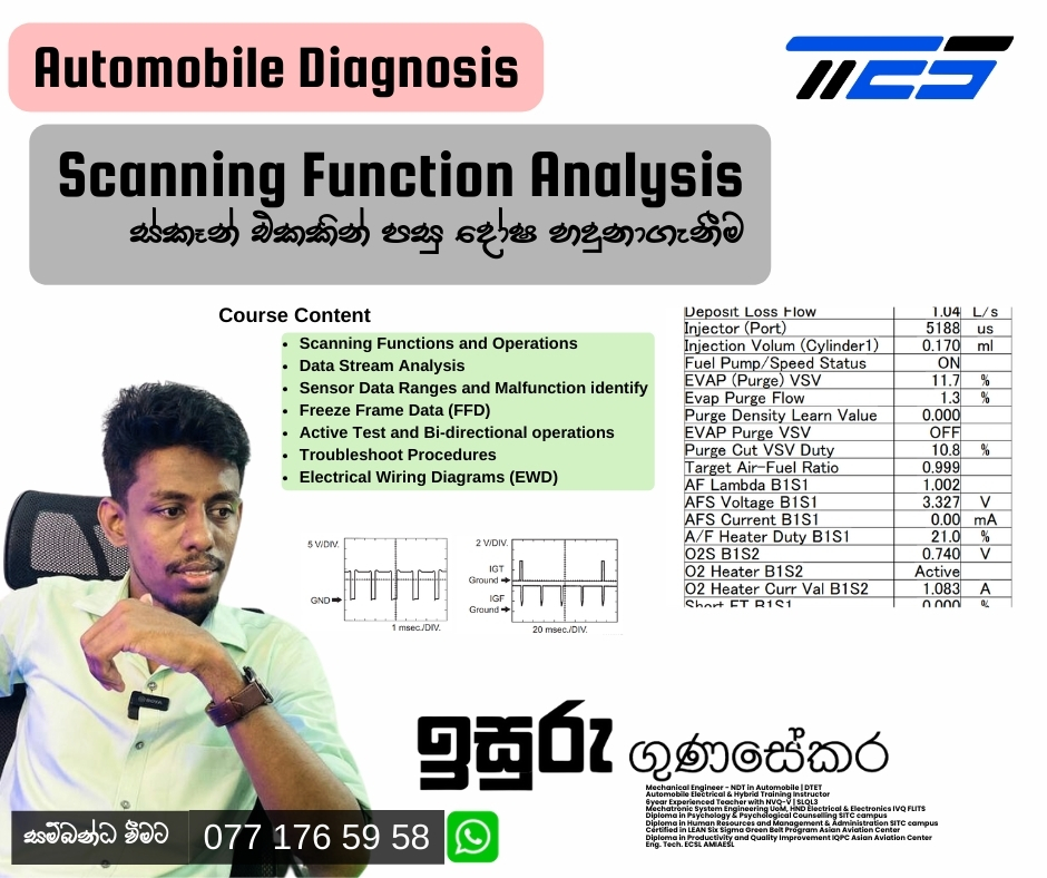🟨  Scanning Function Analysis 